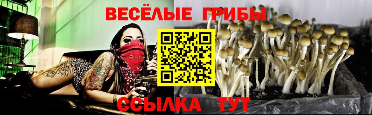 Псилоцибиновые грибы мухоморы  Псилоцибиновые грибы MAGIC MUSHROOMS  Балашов 
